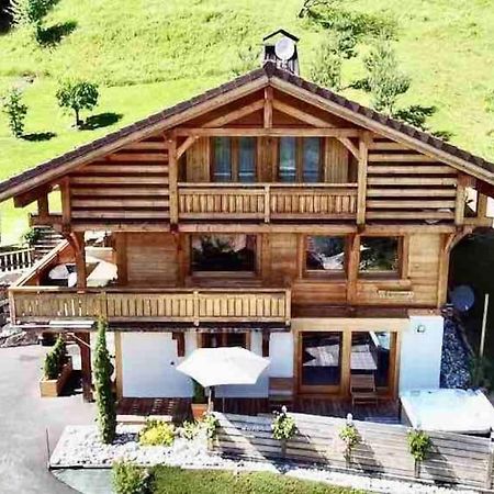 Androsace Appartement Dans Chalet Bois Avec Jacuzzi Privatif Terrasse Et Vue Montagne Les Villards-sur-Thônes エクステリア 写真