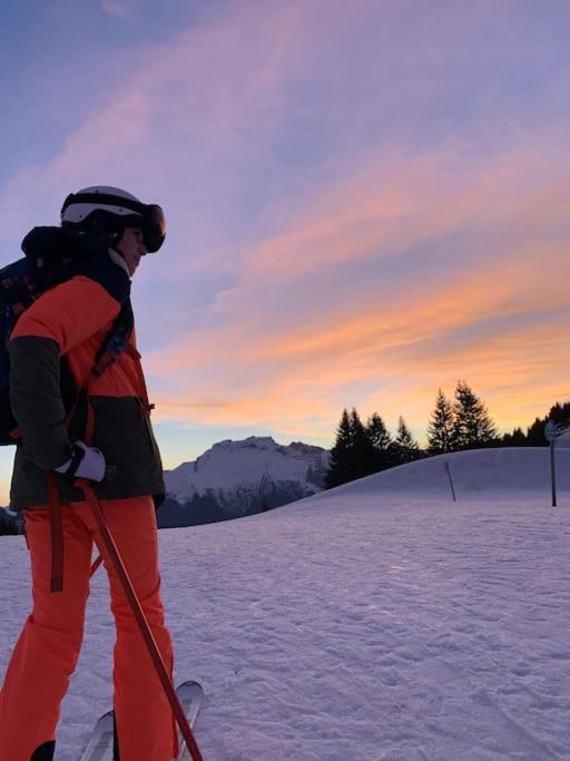 Androsace Appartement Dans Chalet Bois Avec Jacuzzi Privatif Terrasse Et Vue Montagne Les Villards-sur-Thônes エクステリア 写真