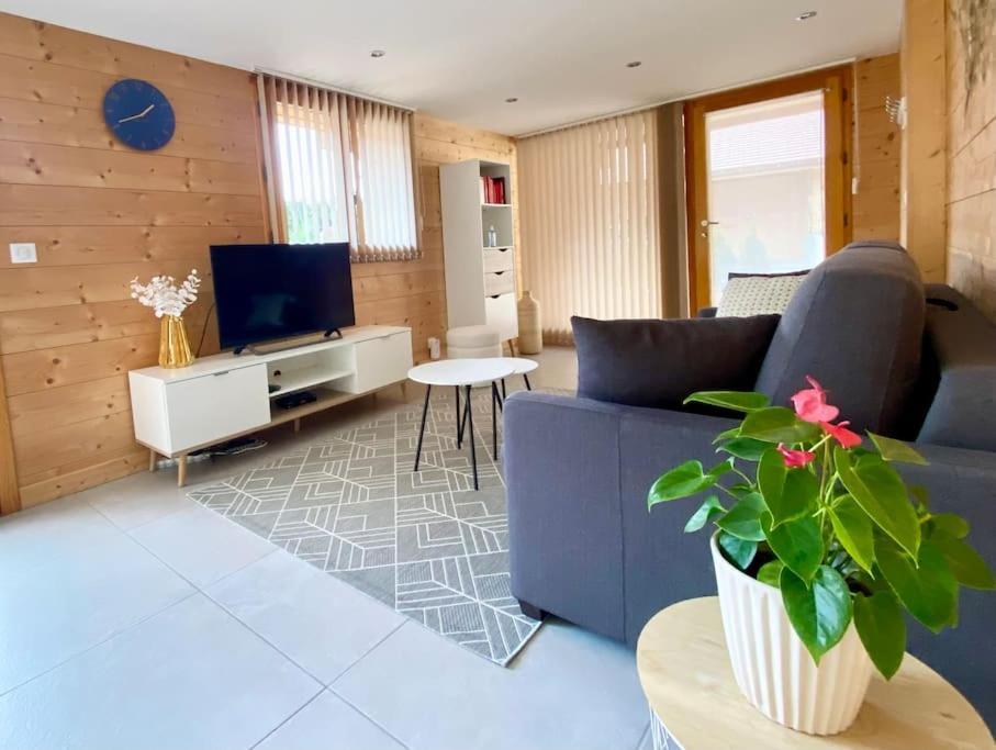 Androsace Appartement Dans Chalet Bois Avec Jacuzzi Privatif Terrasse Et Vue Montagne Les Villards-sur-Thônes エクステリア 写真