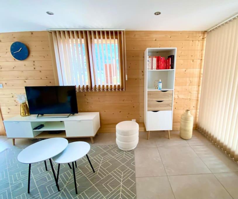 Androsace Appartement Dans Chalet Bois Avec Jacuzzi Privatif Terrasse Et Vue Montagne Les Villards-sur-Thônes エクステリア 写真