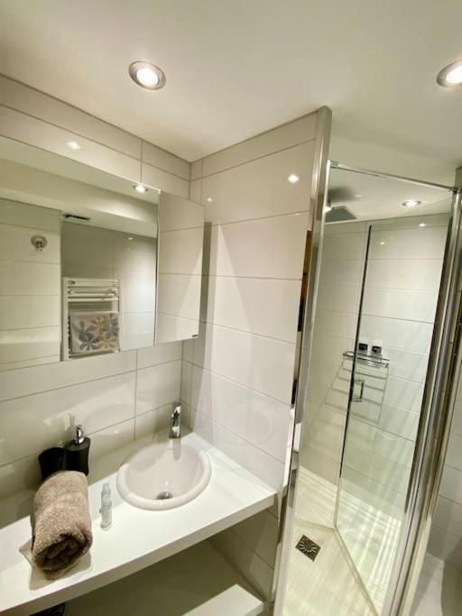 Androsace Appartement Dans Chalet Bois Avec Jacuzzi Privatif Terrasse Et Vue Montagne Les Villards-sur-Thônes エクステリア 写真