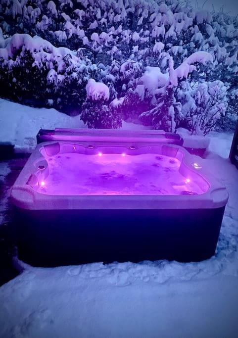 Androsace Appartement Dans Chalet Bois Avec Jacuzzi Privatif Terrasse Et Vue Montagne Les Villards-sur-Thônes エクステリア 写真