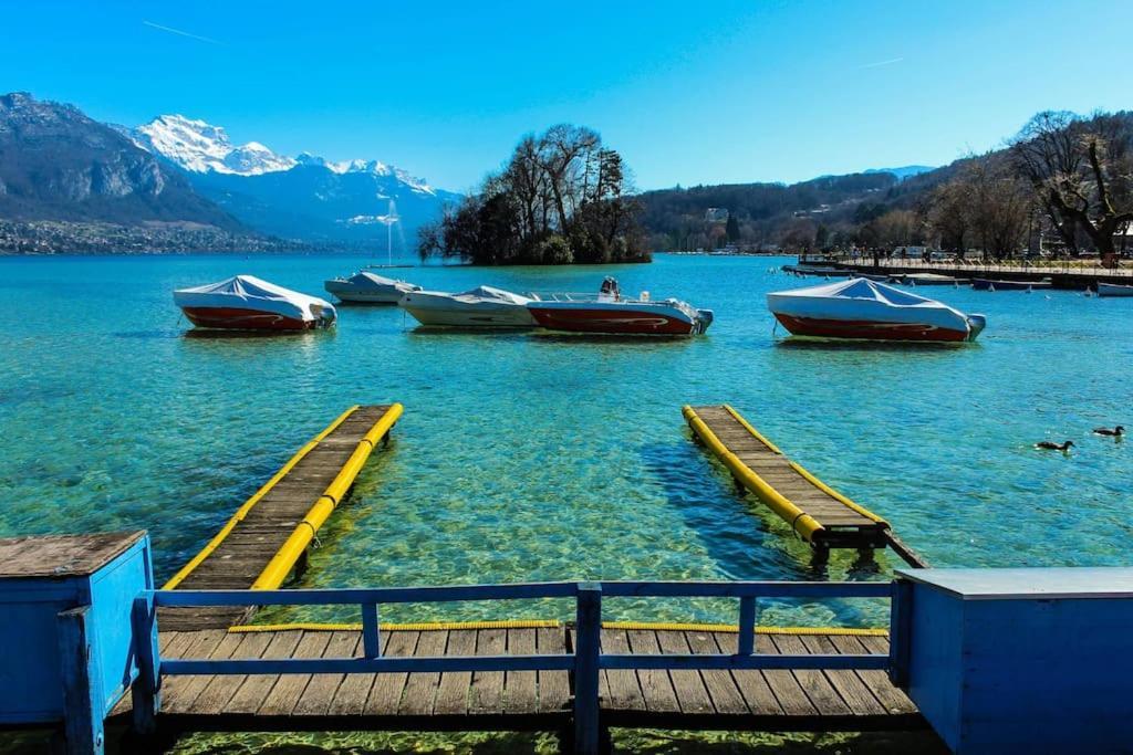 Androsace Appartement Dans Chalet Bois Avec Jacuzzi Privatif Terrasse Et Vue Montagne Les Villards-sur-Thônes エクステリア 写真
