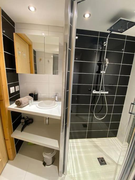 Androsace Appartement Dans Chalet Bois Avec Jacuzzi Privatif Terrasse Et Vue Montagne Les Villards-sur-Thônes エクステリア 写真
